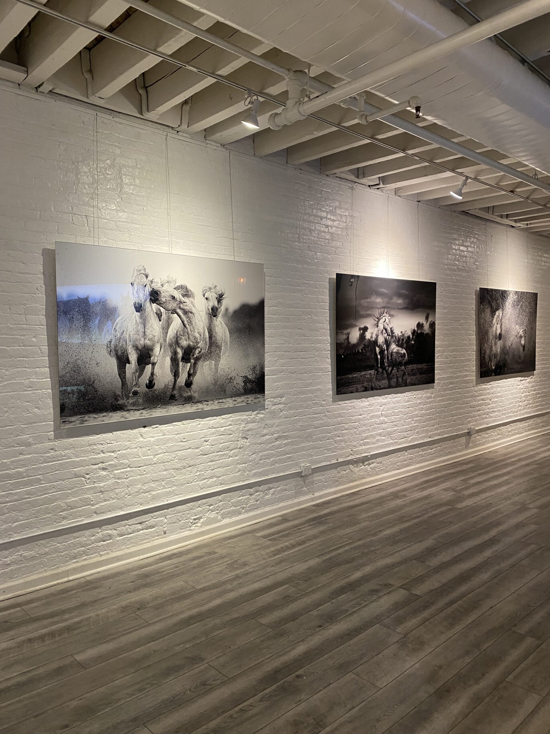 HUDSON YARDS GALLERY ART SHOW