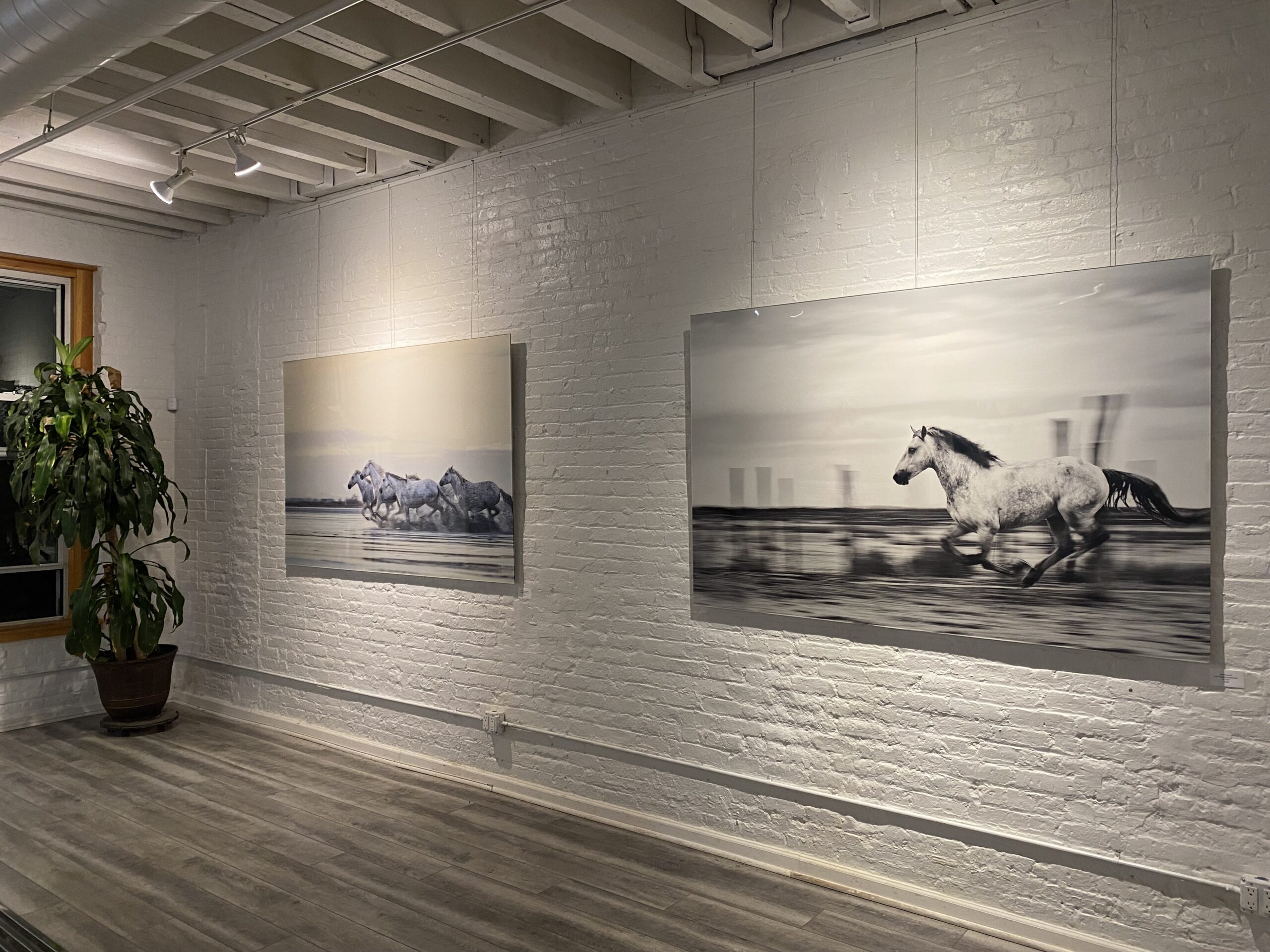 HUDSON YARDS GALLERY ART SHOW