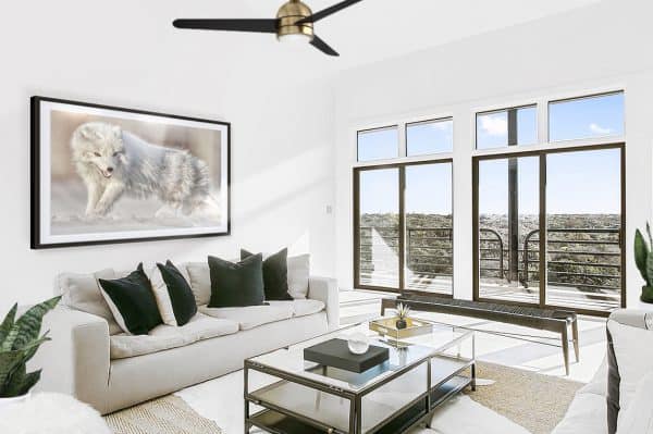 fox pictures wall art contemporary living room