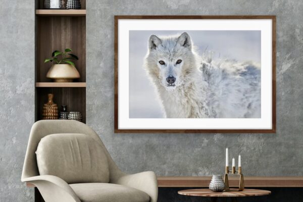 wolf print in snow on wall