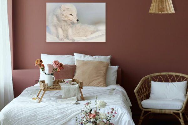WINTER FOX photography IN BEDROOM