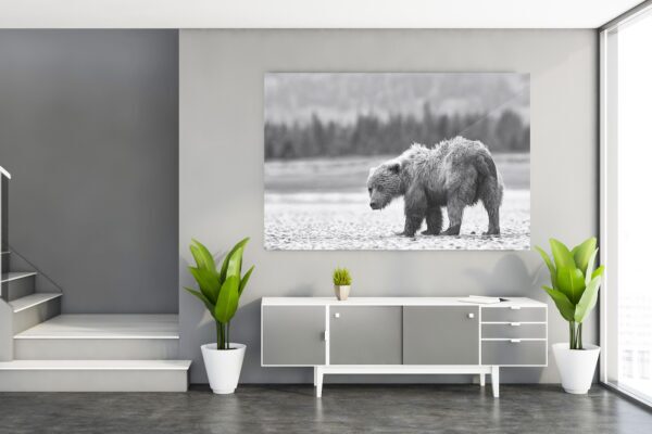 Baby Bear Print on living room wall
