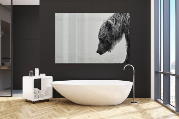 Grizzly Bear Print on wall