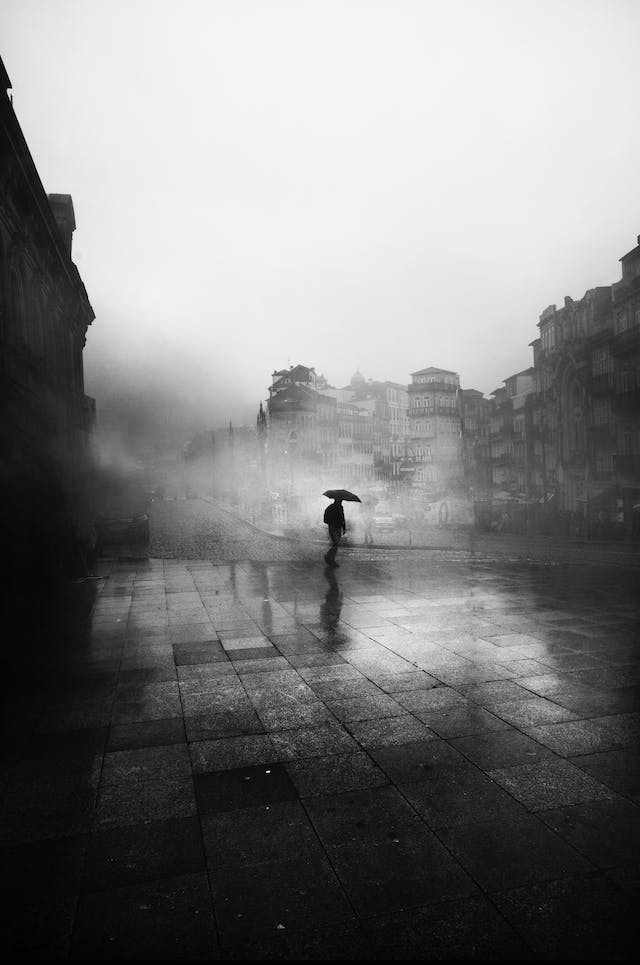 Master the Art: How to Create Black and White Fine Art Photography Step by Step