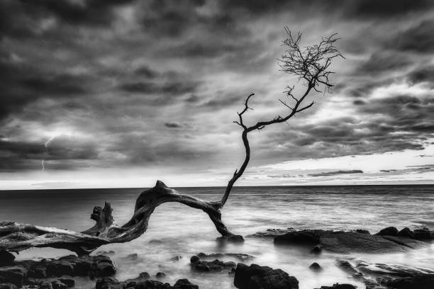 Master the Art: How to Create Black and White Fine Art Photography Step by Step