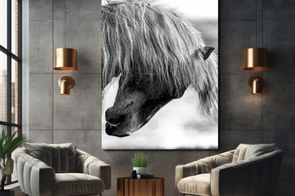Sophisticated black and white horse photography titled Surfer, displayed as a bold focal point in a chic, minimalist interior.