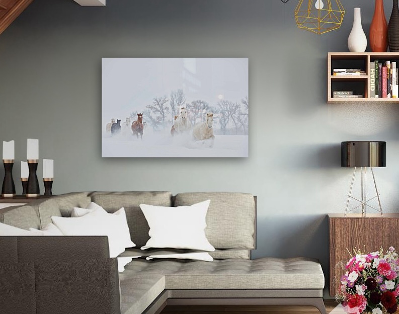 Transform Your Space: Home Decor Ideas with Fine Art Wildlife Photography