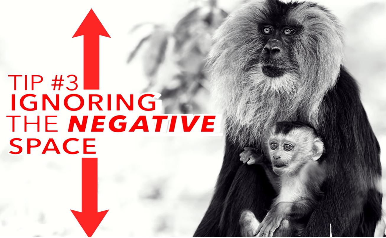 4 Common Composition Mistakes Photographers Make