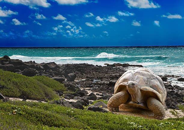 Iconic Wildlife Photography Locations and Why They Matter