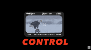 Camera viewfinder framing a bald eagle in harsh weather, illustrating control in wildlife photography through stability, timing, and precision.