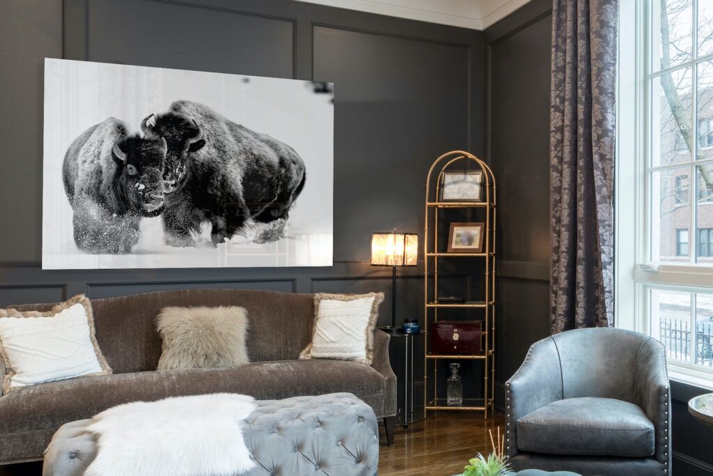 BISON PHOTOGRAPHY PRINT IN LIVING ROOM