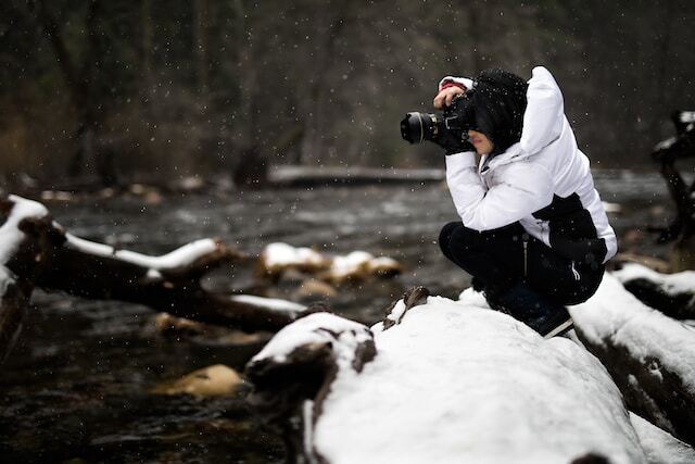 The Rise of Mirrorless Cameras in Wildlife Photography: A Revolution in Imaging