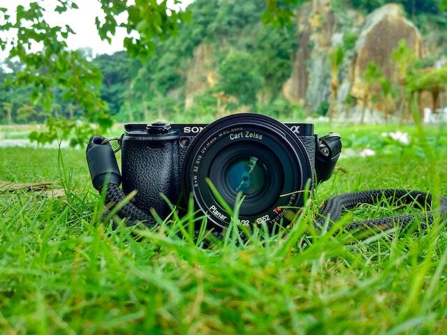 How to Get Started as a Wildlife Photographer: 11 Pro Tips for Beginners in 2023