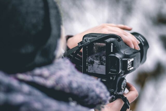 The Rise of Mirrorless Cameras in Wildlife Photography: A Revolution in Imaging