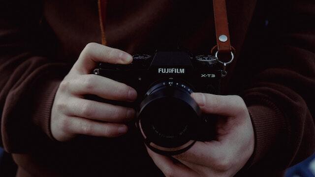 The Rise of Mirrorless Cameras in Wildlife Photography: A Revolution in Imaging