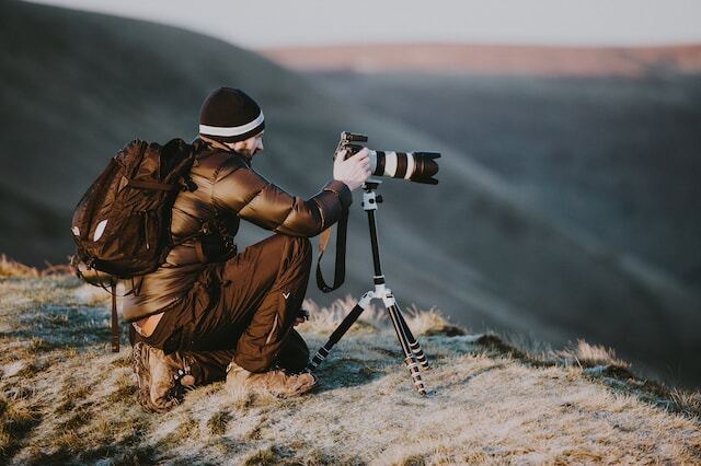 How to make your wildlife photography passion into your business a step-by-step guide