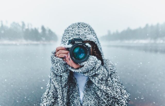 The Rise of Mirrorless Cameras in Wildlife Photography: A Revolution in Imaging
