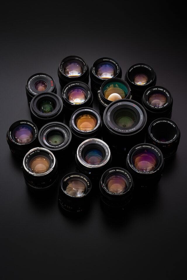 The Rise of Mirrorless Cameras in Wildlife Photography: A Revolution in Imaging