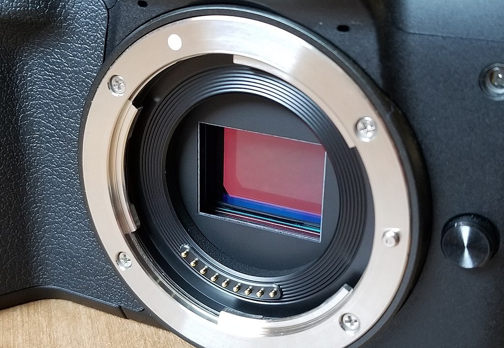 The Rise of Mirrorless Cameras in Wildlife Photography: A Revolution in Imaging