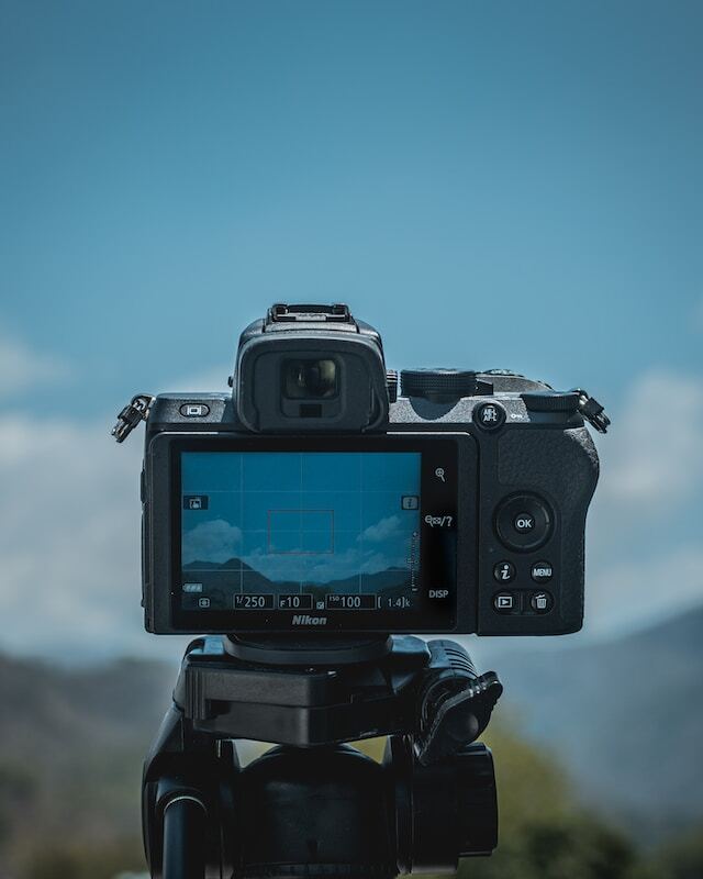 The Rise of Mirrorless Cameras in Wildlife Photography: A Revolution in Imaging