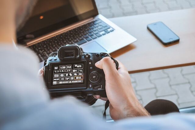The Rise of Mirrorless Cameras in Wildlife Photography: A Revolution in Imaging