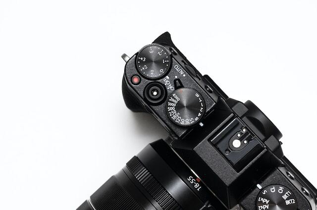 The Rise of Mirrorless Cameras in Wildlife Photography: A Revolution in Imaging