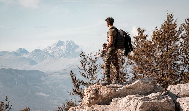 The Rise of Mirrorless Cameras in Wildlife Photography: A Revolution in Imaging