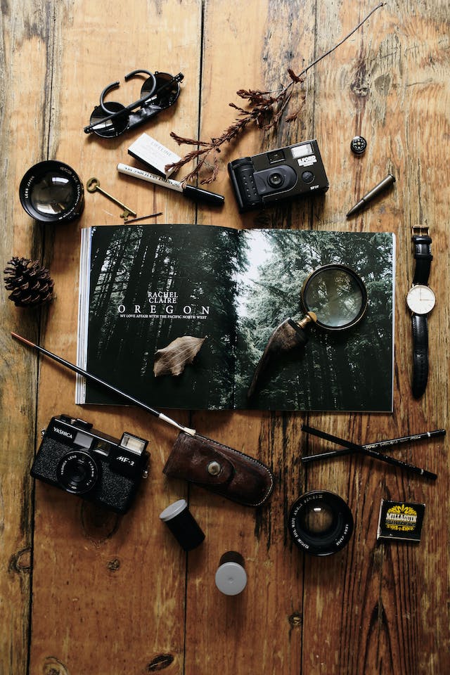 How to Make Wildlife Photography More Powerful