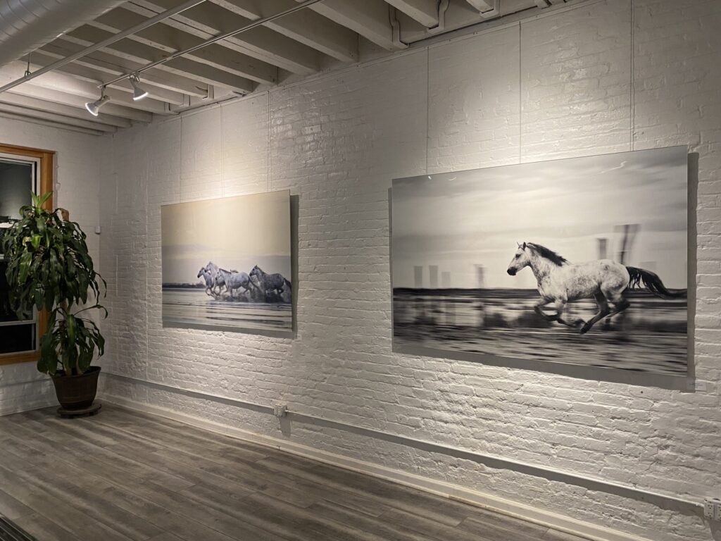 How to Find the Right Audience for Fine Art Photography