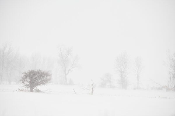 Landscape Photography Print