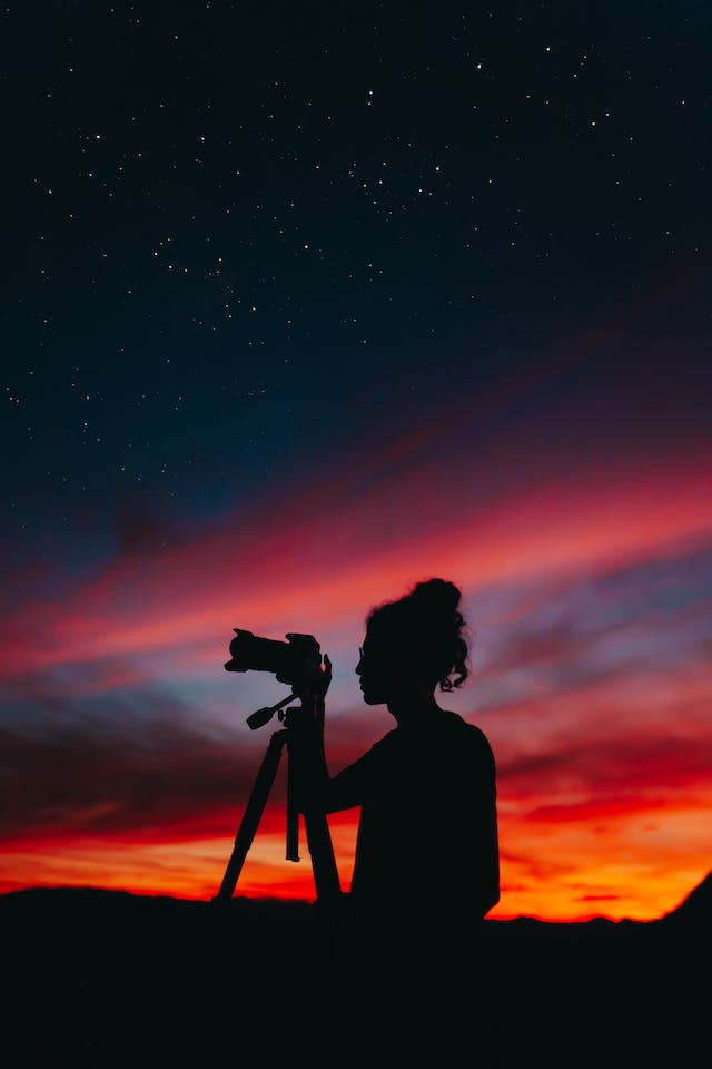 How to Make Wildlife Photography More Powerful