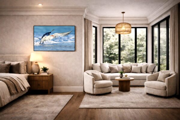 Royal tern fine art photography in flight displayed as wall art in a living room interior