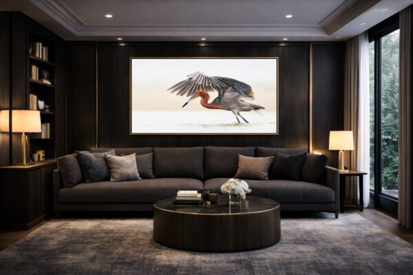 Fine art photograph of a reddish egret in motion displayed in a dark, modern living room with neutral furnishings