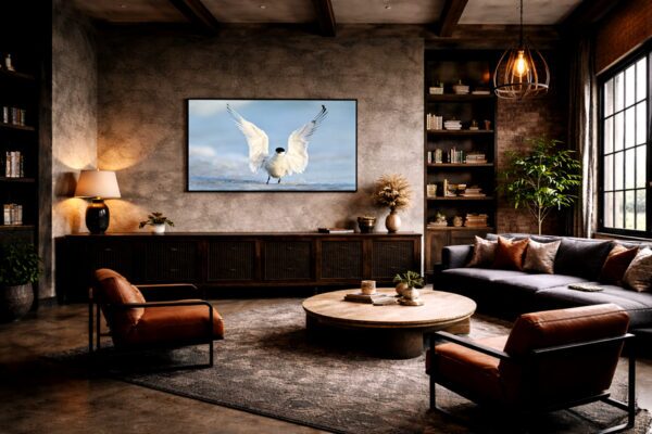 Royal tern fine art photography displayed as wall art in a modern living room interior