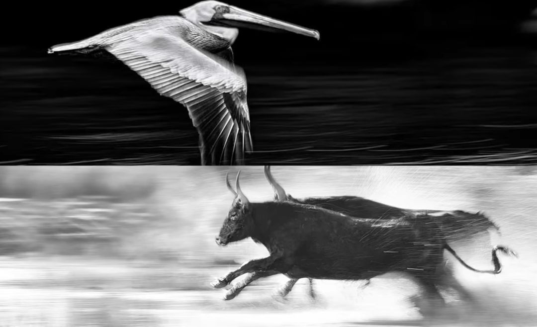 Why Your Camera Meter Makes Photos Look Flat