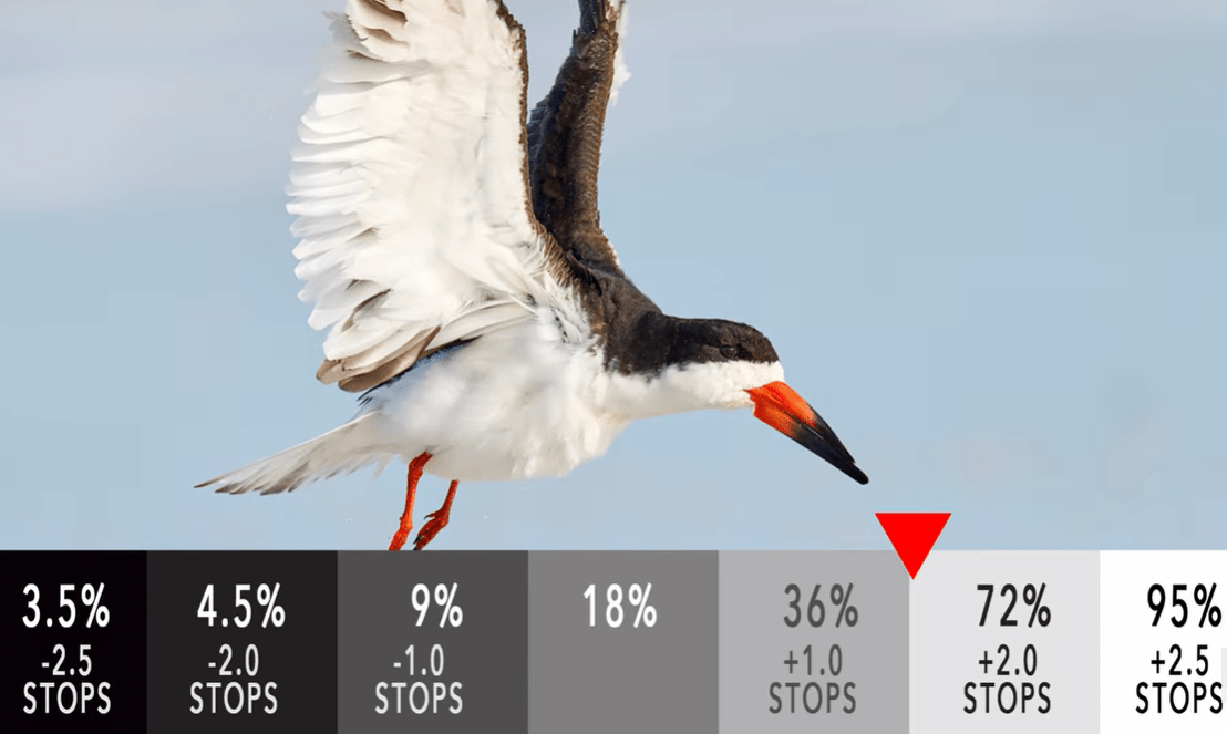 Why Your Camera Meter Makes Photos Look Flat