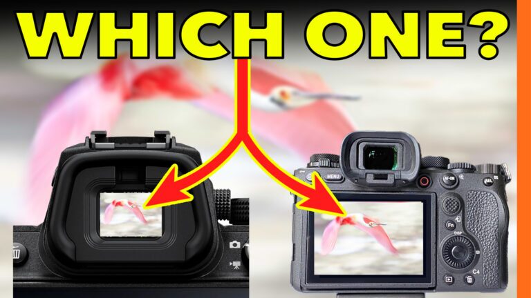 Comparison between using the camera viewfinder and the rear LCD screen in photography, showing how each affects framing and timing.
