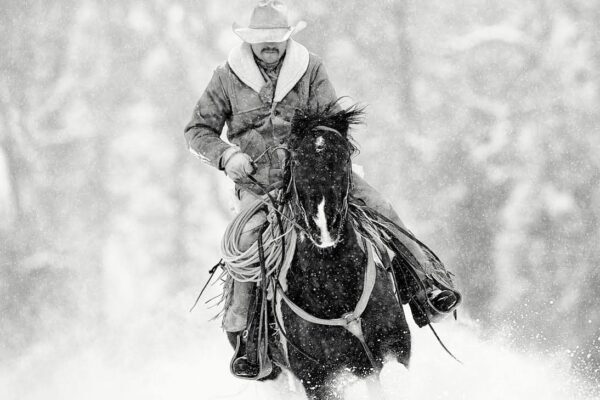 cowboy riding horse in snow black and white fine art photography