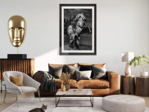 Equine Wall Art