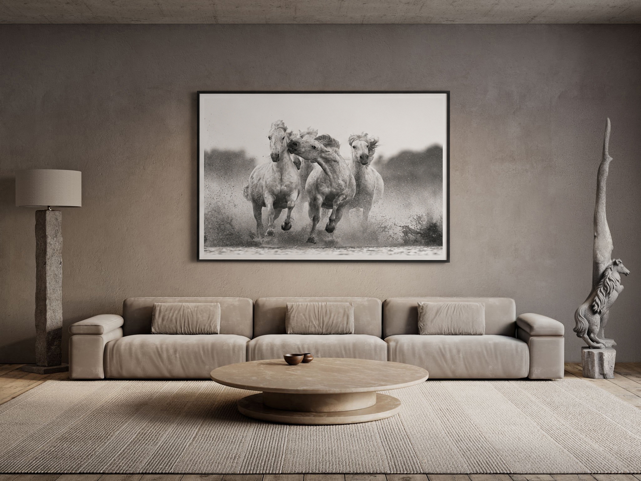 Black and white horse photography