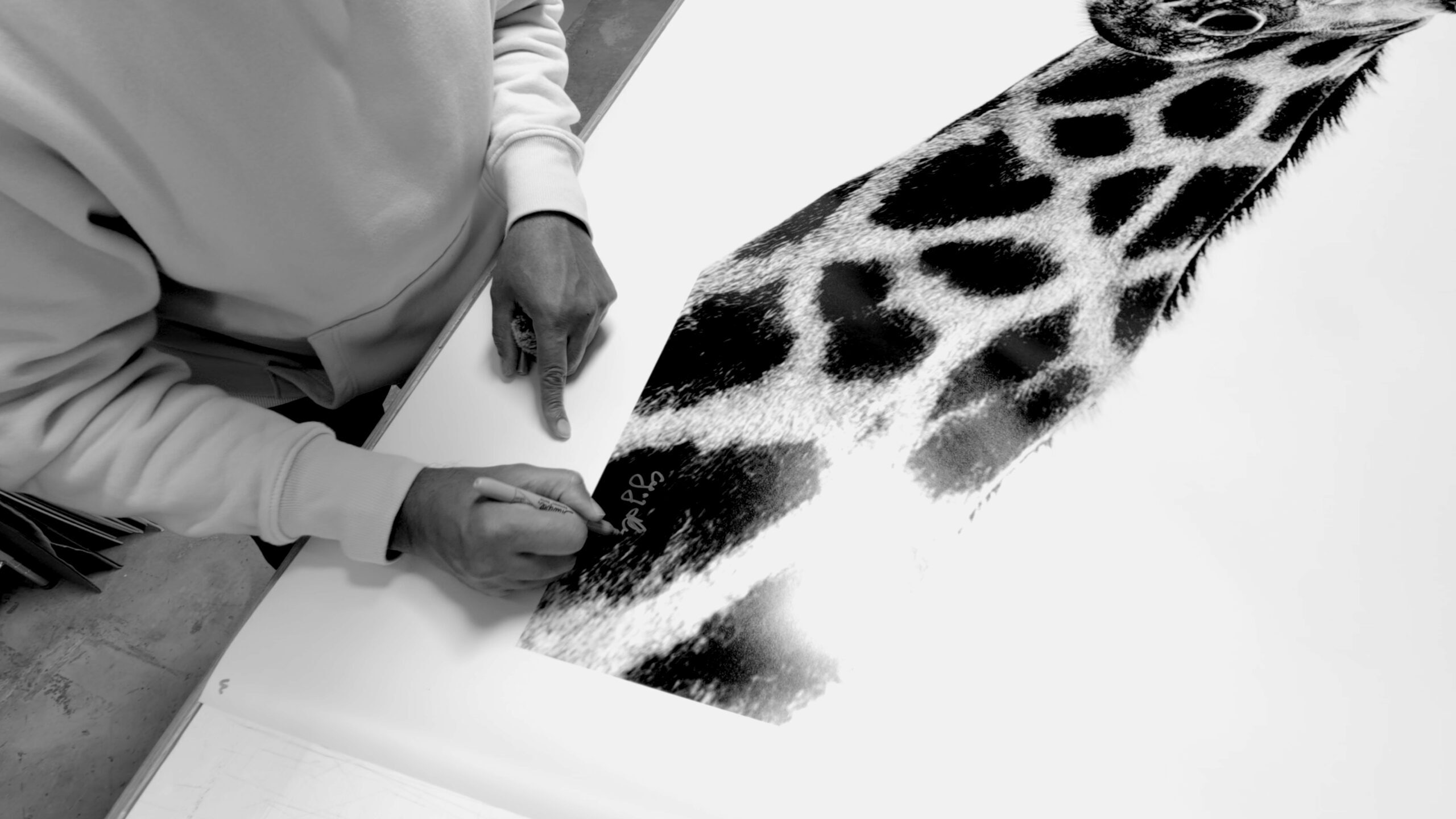 Fine art wildlife museum quality print signing